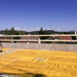 Protect Net Seitenschutzgittersystem in Verbindung mit elea Flachdachabgrenzung RS – Bild 3