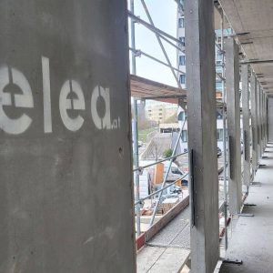 2022-12-19 10.35.41 Quadrat