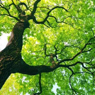 auf-unsere-Umwelt.webp
